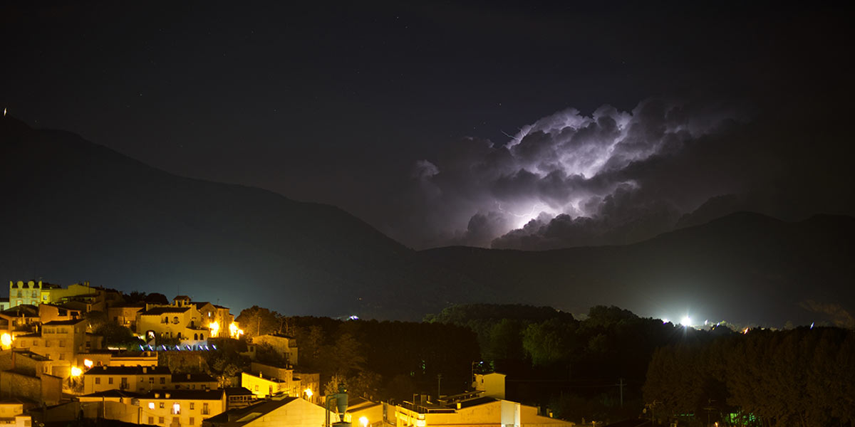 Anglès de nit