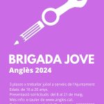 brigada jove